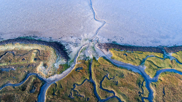 istock Dyke, salt marsh and coastline - aerial view 867742162