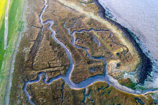 istock Dyke, salt marsh and coastline - aerial view 867742210