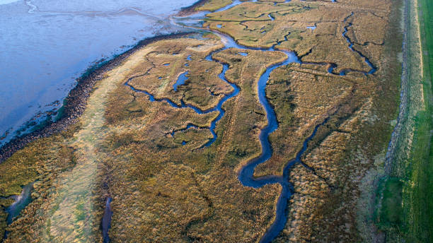 istock Dyke, salt marsh and coastline - aerial view 867742280