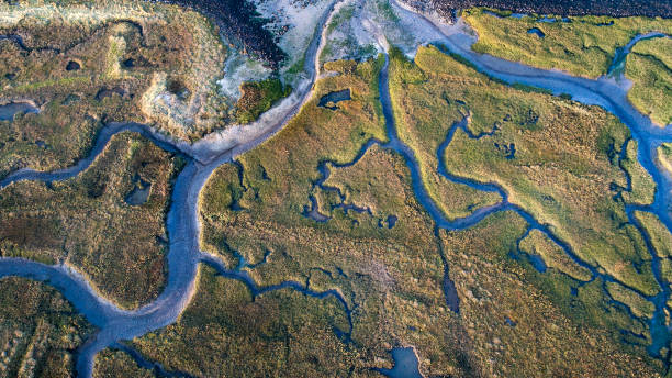 istock Dyke, salt marsh and coastline - aerial view 867742430