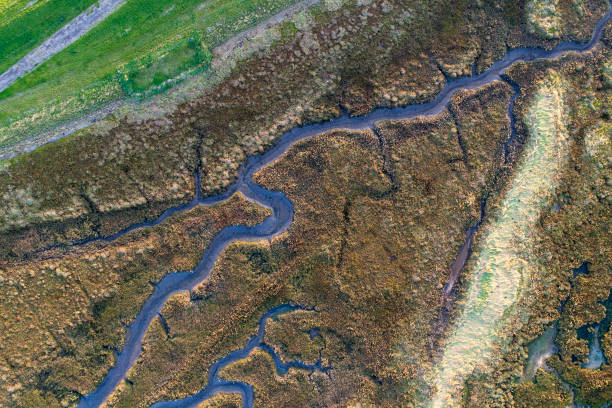 dique, ciénaga y la costa - vista aérea - netherlands dyke polder aerial view fotografías e imágenes de stock