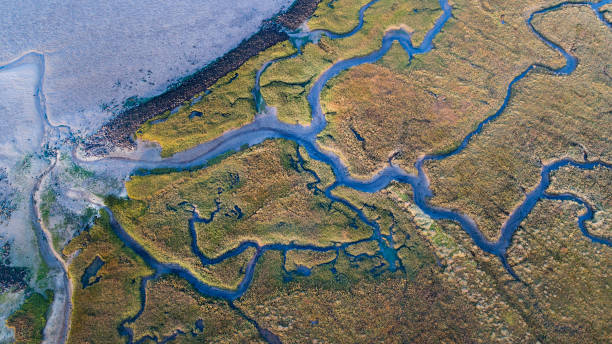 dique, ciénaga y la costa - vista aérea - netherlands dyke polder aerial view fotografías e imágenes de stock