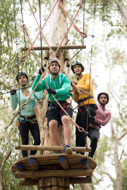istock Friends getting ready to zip line in park 867745332