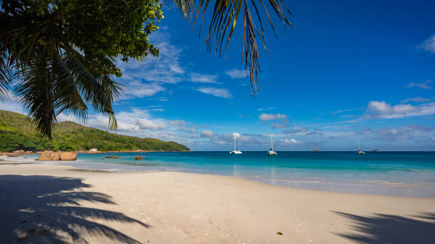 istock Catamarans at anse lazio on the seychelles 19 867745430