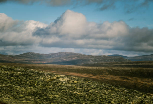 istock A beautiful mountain landscape in autumn in central Norway. 867746814