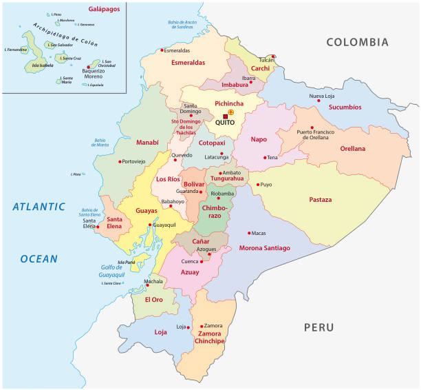 Ecuador administrative and political map Ecuador administrative and political vector map ecuador stock illustrations
