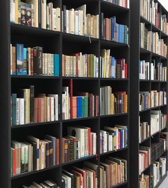 istock View of book shelves in a library 867747390