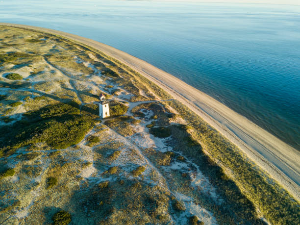 나무 끝 빛, 케이프 코드 - lighthouse massachusetts beach coastline 뉴스 사진 이미지