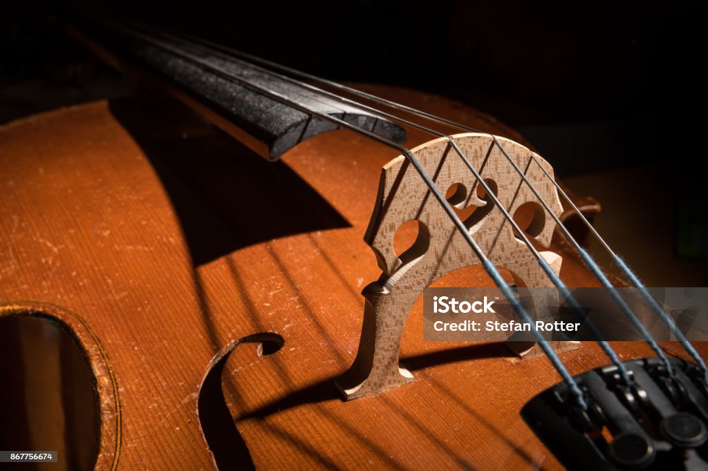 Cello strings and body Details of a small Cello strings and body low key Acoustic Music Stock Photo