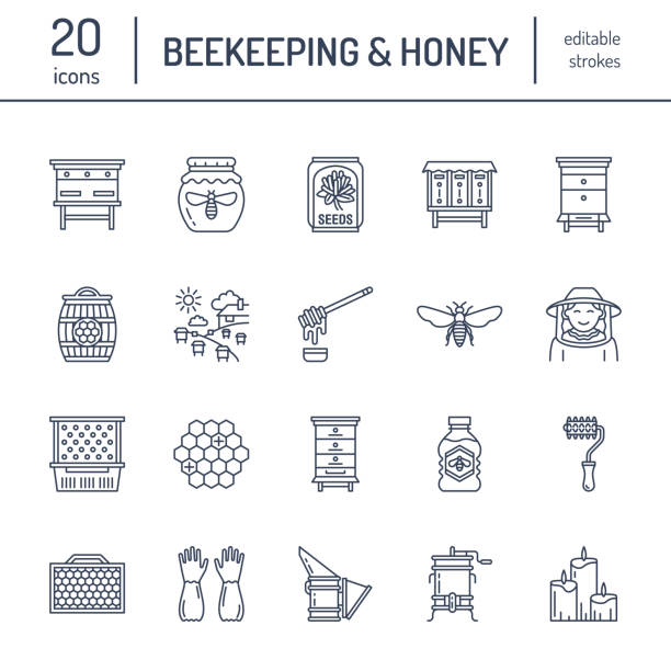 ilustrações de stock, clip art, desenhos animados e ícones de beekeeping, apiculture line icons. beekeeper equipment, honey processing, honeybee, beehives types, natural products. bee-garden thin linear signs for organic farm shop. blue color - activity animal bee beeswax