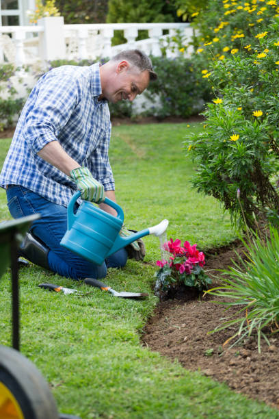 istock Man watering plants with a watering can 867758918