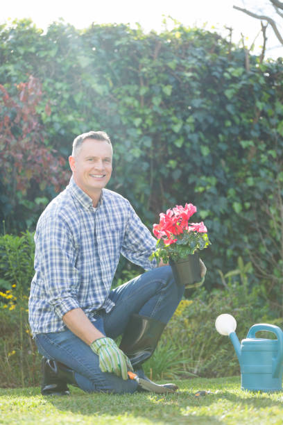 istock Smiling man holding pot plant in garden 867760242