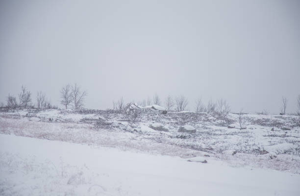 istock A beautiful Norwegian landscape in first snow in autumn. 867760974