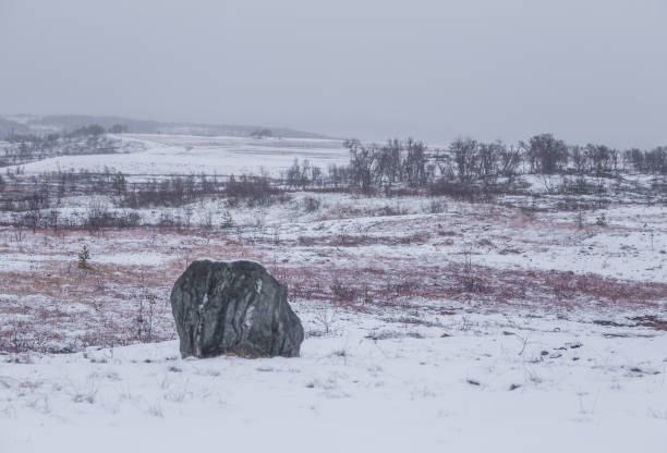 istock A beautiful Norwegian landscape in first snow in autumn. 867761238