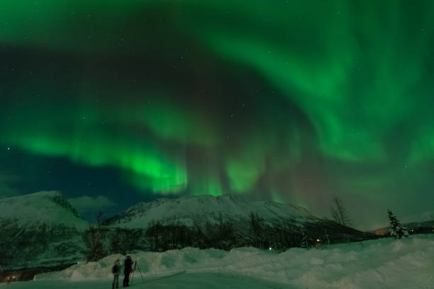 istock Northern lights from Norway Tromso 867764710