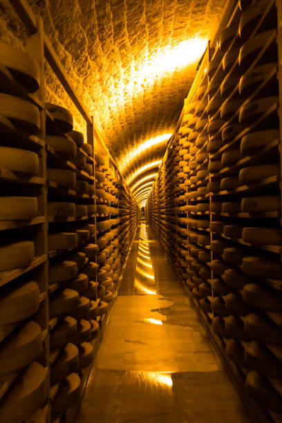 cheese cellars cellars in Comté at Fort des Rousses jura stock pictures, royalty-free photos & images