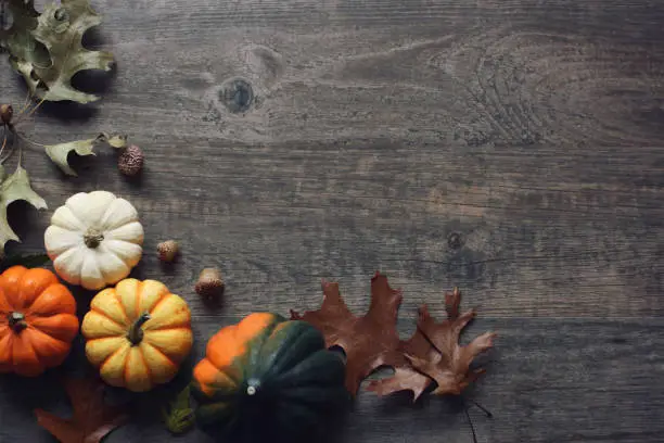 Photo of Thanksgiving season still life with colorful small pumpkins, acorn squash and fall leaves over rustic wood background.