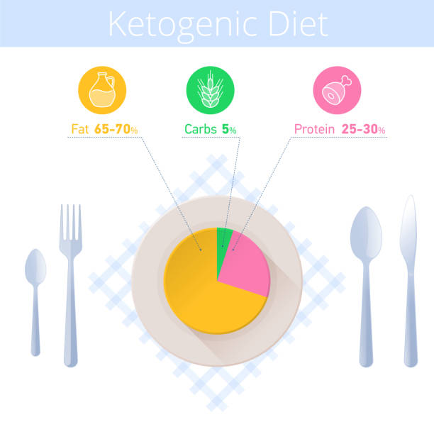 keto 다이어트 infographic입니다. 주방 기구, 접시에 ketogenic 다이어그램 - white background ideas food and drink lifestyles stock illustrations
