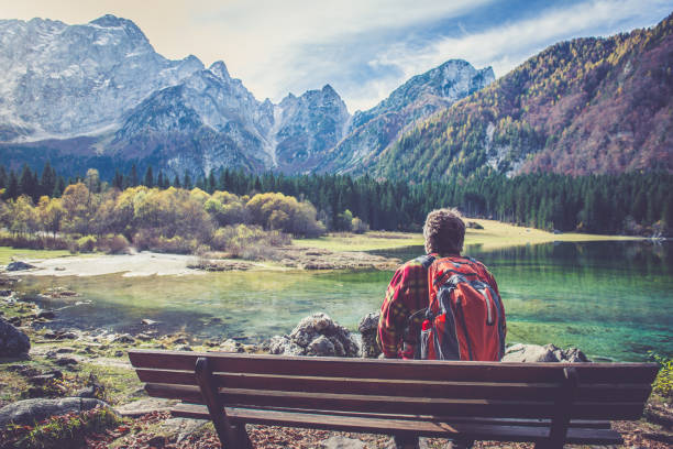 istock Senior Mountaineer in Alps 867774512