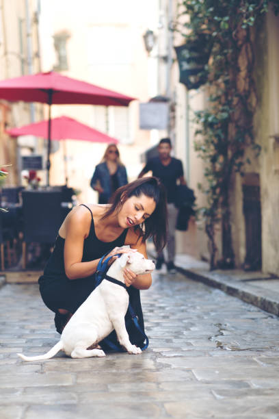 istock Tourist woman playing with dogin St-Tropez 867775538
