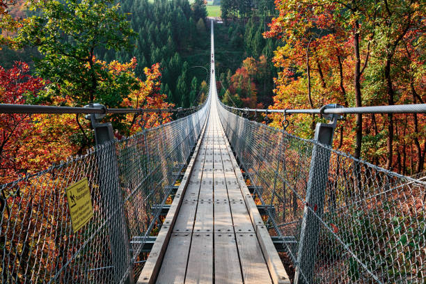 passerelle de suspension geierlay (hangeseilbrucke geierlay), allemagne - passerelle pont photos et images de collection