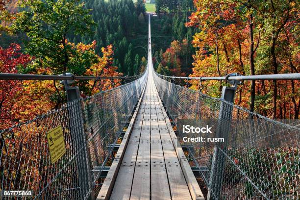 Suspension Footbridge Geierlay Germany Stock Photo - Download Image Now
