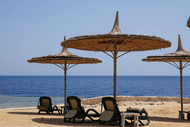 istock A straw umbrellas with deckchairs on the beach 867778534