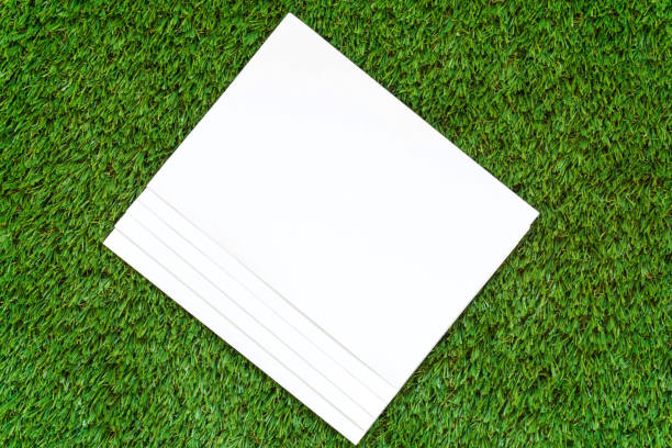 istock Blank white paper on green grass. 867779592
