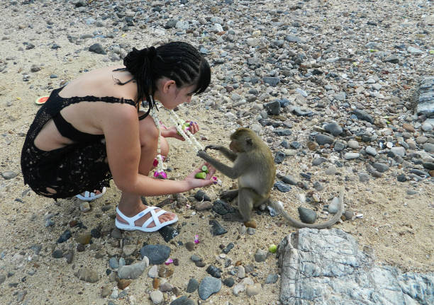 istock A young girl is playing with a wild monkey 867782046