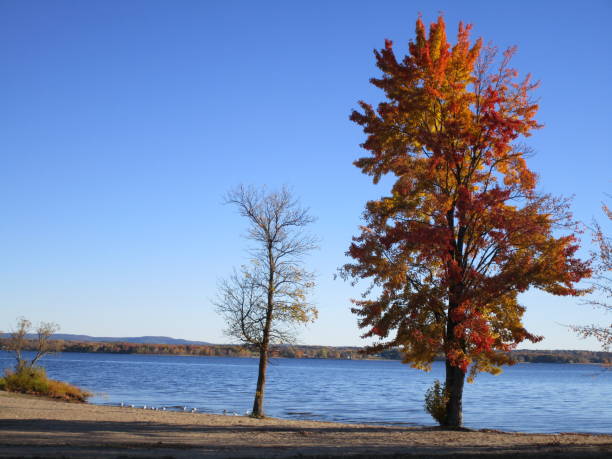 istock Autumn Morning at the River 867785522