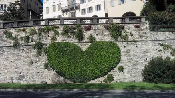 Green heart, made from climbing plants, on a wall