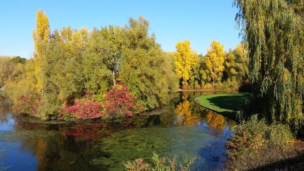 istock A beautiful lake in autumn 867799226