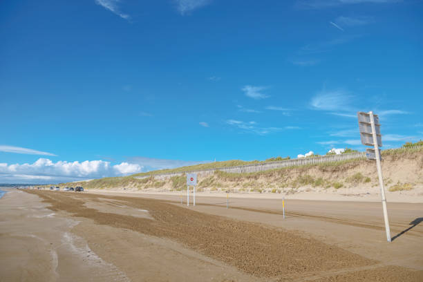 istock Scenery of the summer beach 867802268