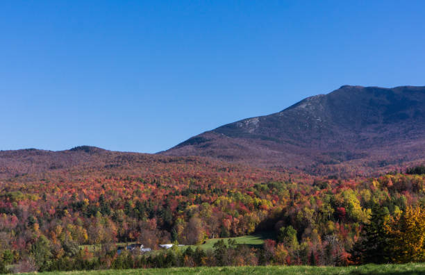 istock landscape of  trees with bright autumn fall foliage colors 867803852