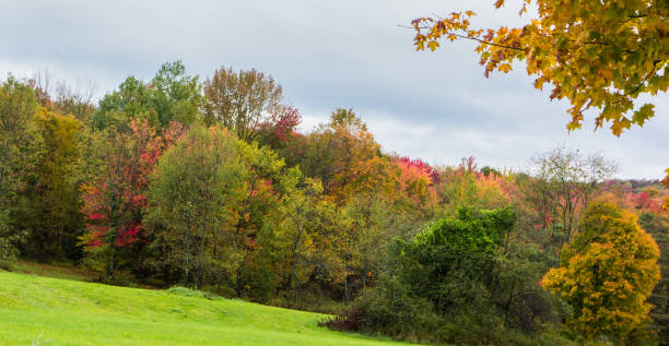 istock fall foliage in the countryside 867806618
