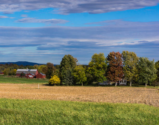istock landscape of farm 867806802
