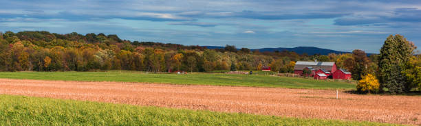 banner landscape of farm