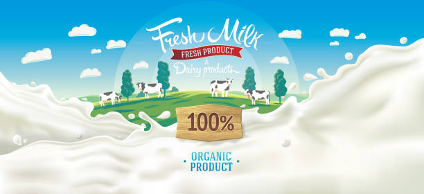 splash milk and rural landscape Scenery background with elements of landscape, and splashes from milk, with the inscription and decorative design elements. herd of cows stock illustrations