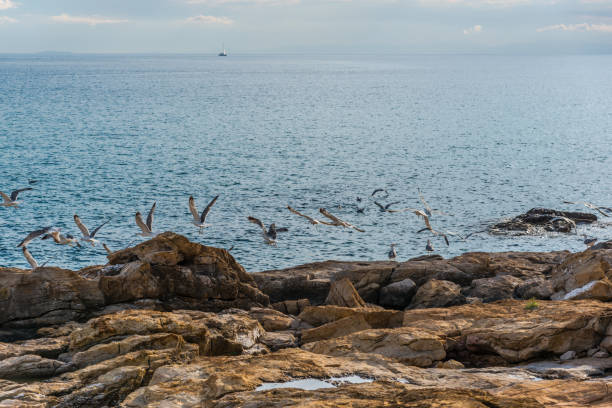 istock Coastline at Aegean Sea 867810396