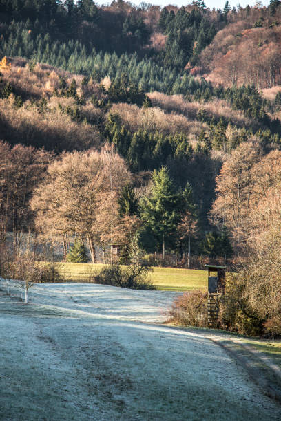 Hunter's stand in a frosty winter landscape