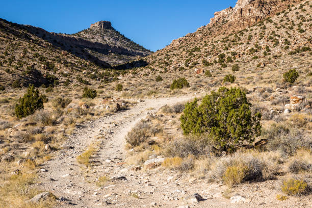 istock Winding atv track under small butte in western Utah 867816246