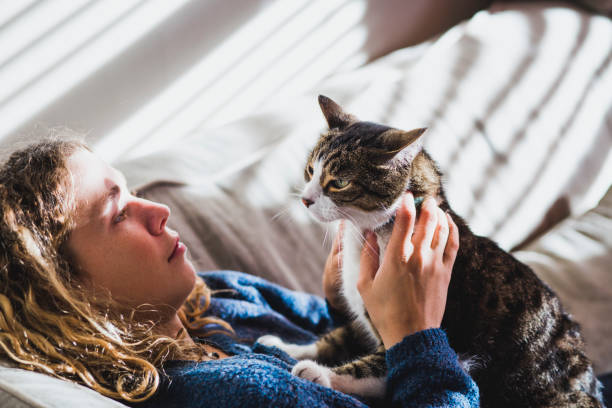 istock A girl and a cat together on a sofa 867816424