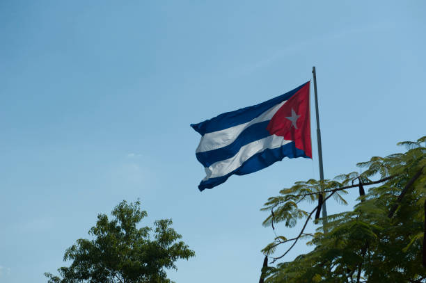 istock Cuban flag between the trees against sky 867817282