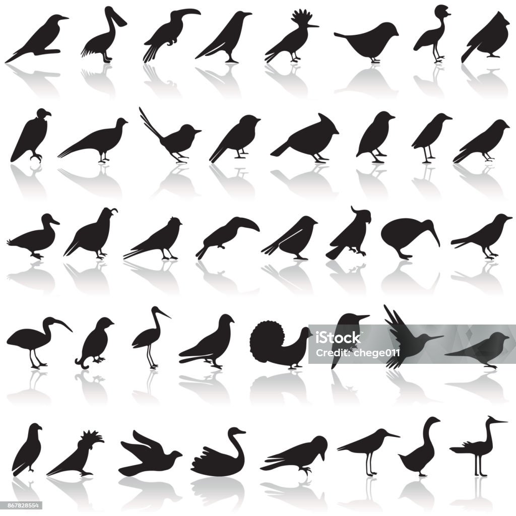 Bird icon set Bird icon set on a white background with a shadow Bird stock vector