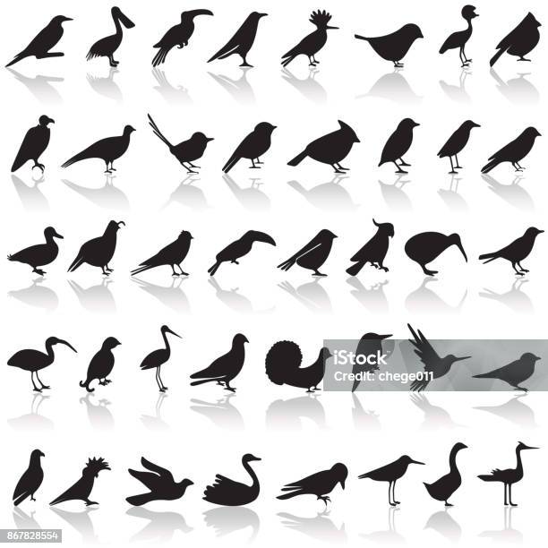 Bird Icon Set Stock Illustration - Download Image Now - Bird, Icon Symbol, Cardinal - Bird