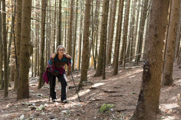 istock Mature Woman Hiking in Forest 867830792