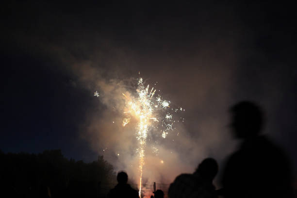 istock Colorful fireworks in the sky at night. 867833032
