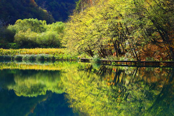 istock Plitvice lakes in autumn 867836168