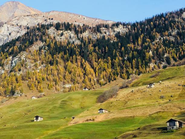 istock Indian summer in European alps 867839110