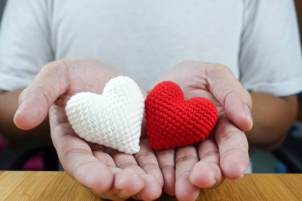 istock Red and white heart in man hands 867839302